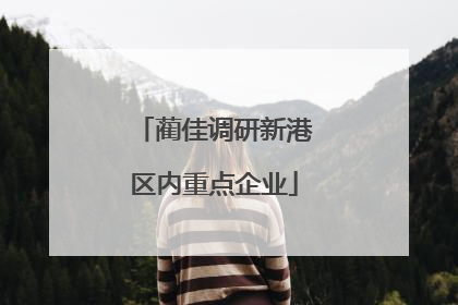蔺佳调研新港区内重点企业