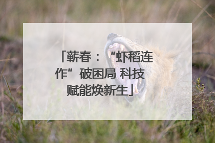 蕲春：“虾稻连作”破困局 科技赋能焕新生