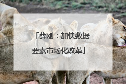 薛刚：加快数据要素市场化改革