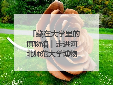 藏在大学里的博物馆｜走进河北师范大学博物馆天地科学馆：在校园里赴一场“宇宙之约”