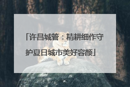 许昌城管：精耕细作守护夏日城市美好容颜