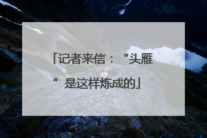 记者来信：“头雁”是这样炼成的