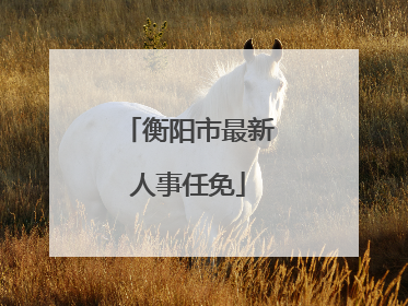 衡阳市最新人事任免