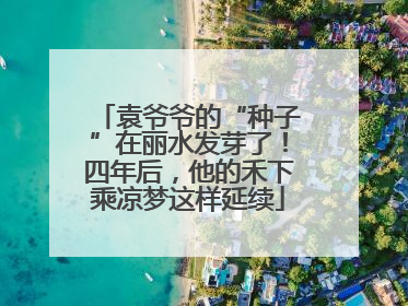 袁爷爷的“种子”在丽水发芽了！四年后，他的禾下乘凉梦这样延续