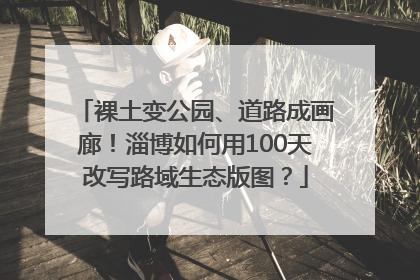 裸土变公园、道路成画廊！淄博如何用100天改写路域生态版图？