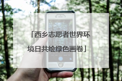 西乡志愿者世界环境日共绘绿色画卷