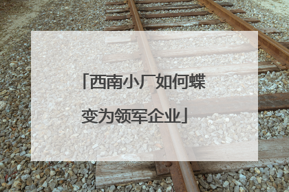 西南小厂如何蝶变为领军企业