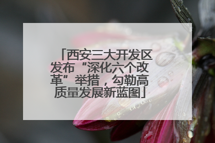 西安三大开发区发布“深化六个改革”举措，勾勒高质量发展新蓝图