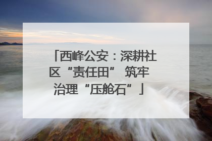 西峰公安：深耕社区“责任田” 筑牢治理“压舱石”
