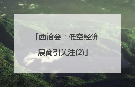 西洽会：低空经济展商引关注(2)