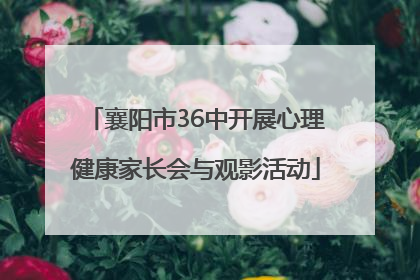 襄阳市36中开展心理健康家长会与观影活动