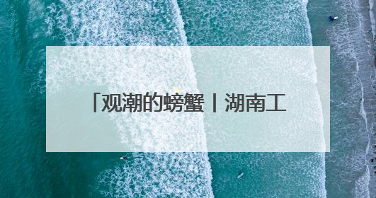 观潮的螃蟹丨湖南工程机械“双城记”