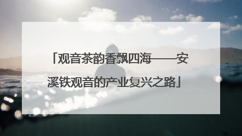 观音茶韵香飘四海——安溪铁观音的产业复兴之路