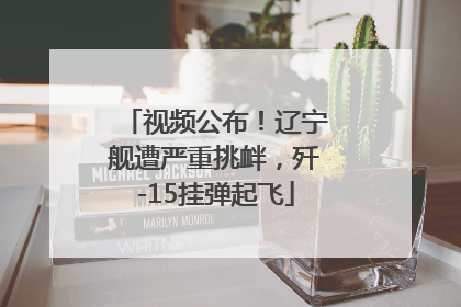 视频公布！辽宁舰遭严重挑衅，歼-15挂弹起飞