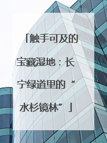 触手可及的宝藏湿地：长宁绿道里的“水杉镜林”