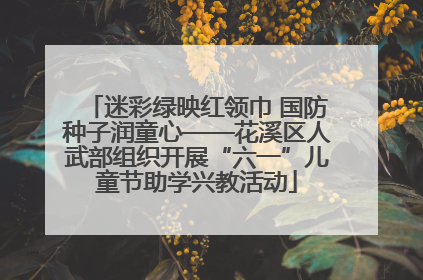 迷彩绿映红领巾 国防种子润童心——花溪区人武部组织开展“六一”儿童节助学兴教活动