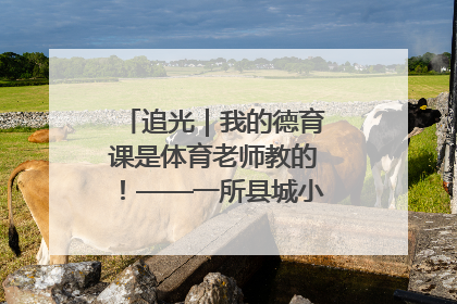 追光｜我的德育课是体育老师教的！——一所县城小学的思政课改革