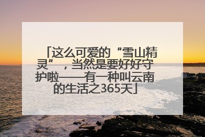 这么可爱的“雪山精灵”，当然是要好好守护啦——有一种叫云南的生活之365天