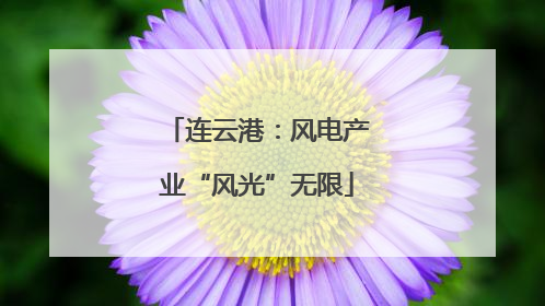 连云港：风电产业“风光”无限