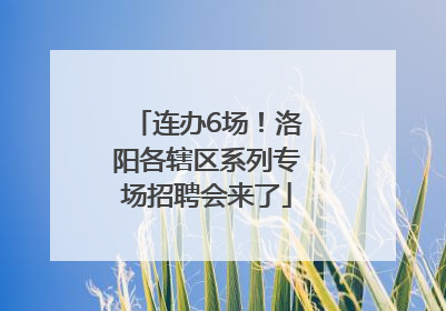 连办6场！洛阳各辖区系列专场招聘会来了