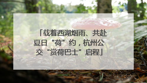 载着西湖烟雨、共赴夏日“荷”约，杭州公交“赏荷巴士”启程
