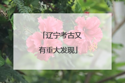 辽宁考古又有重大发现