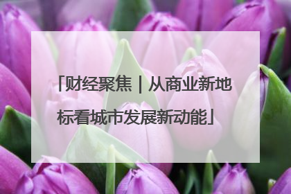 财经聚焦｜从商业新地标看城市发展新动能