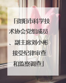 资阳市科学技术协会党组成员、副主席刘小彬 接受纪律审查和监察调查