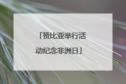 赞比亚举行活动纪念非洲日