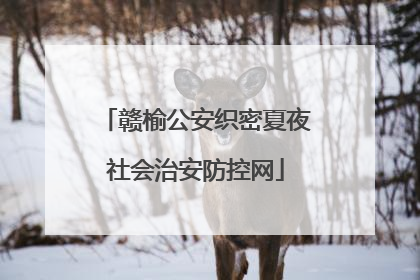 赣榆公安织密夏夜社会治安防控网