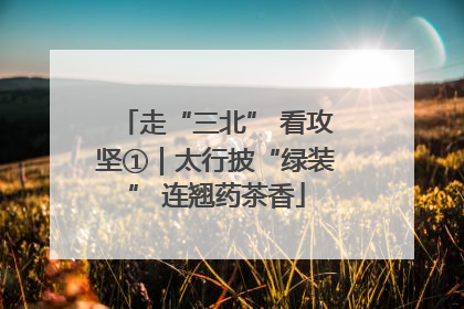 走“三北” 看攻坚①｜太行披“绿装” 连翘药茶香