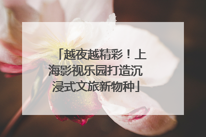 越夜越精彩！上海影视乐园打造沉浸式文旅新物种