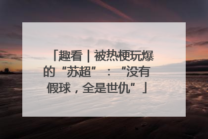 趣看｜被热梗玩爆的“苏超”：“没有假球，全是世仇”
