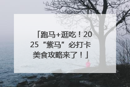 跑马+逛吃！2025“紫马”必打卡美食攻略来了！