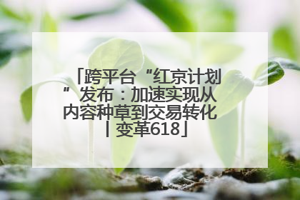 跨平台“红京计划”发布：加速实现从内容种草到交易转化丨变革618