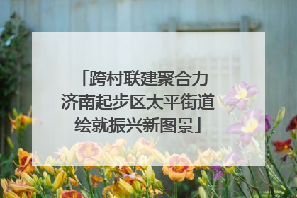 跨村联建聚合力 济南起步区太平街道绘就振兴新图景
