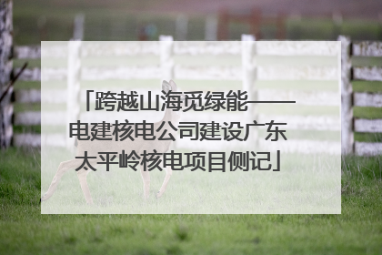 跨越山海觅绿能——电建核电公司建设广东太平岭核电项目侧记