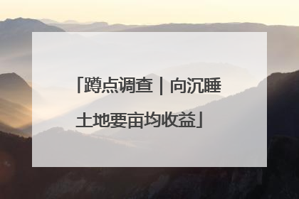 蹲点调查｜向沉睡土地要亩均收益