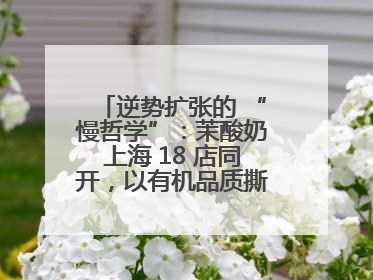 逆势扩张的 “慢哲学”：茉酸奶上海 18 店同开，以有机品质撕开内卷红海