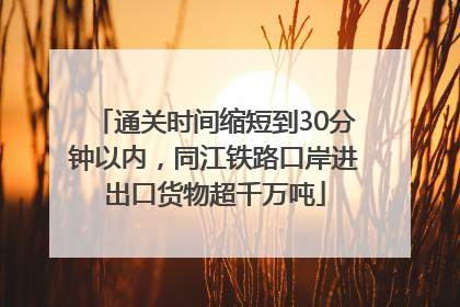 通关时间缩短到30分钟以内，同江铁路口岸进出口货物超千万吨
