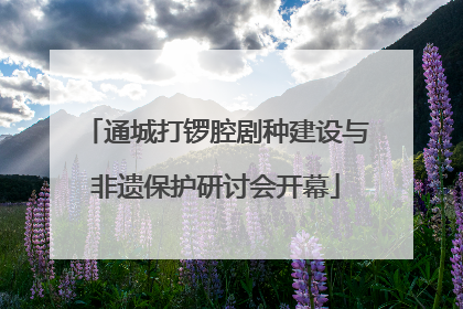 通城打锣腔剧种建设与非遗保护研讨会开幕