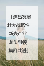 遂昌发展壮大战略性新兴产业 龙头引领 集群共进