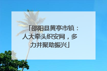 邵阳县黄亭市镇：人大牵头织安网，多力并聚助振兴