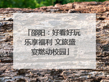 邵阳：好看好玩乐享福利 文旅盛宴燃动校园