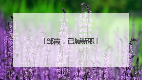 邹霞，已履新职