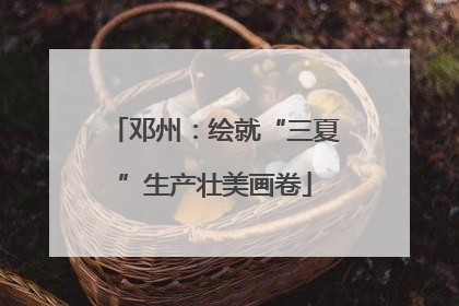 邓州：绘就“三夏”生产壮美画卷