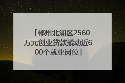 郴州北湖区2560万元创业贷款撬动近600个就业岗位