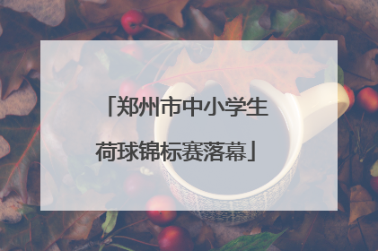 郑州市中小学生荷球锦标赛落幕