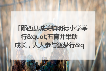 郧西县城关镇明德小学举行"五育并举助成长，人人参与逐梦行"庆六一活动