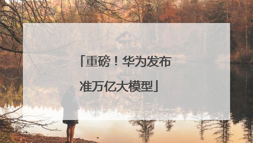 重磅！华为发布准万亿大模型